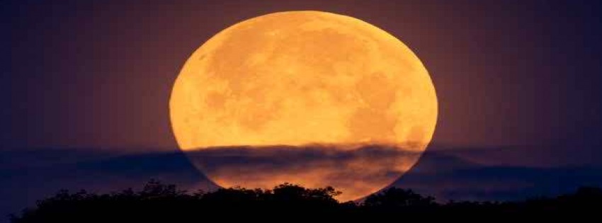 My Beloved Moon